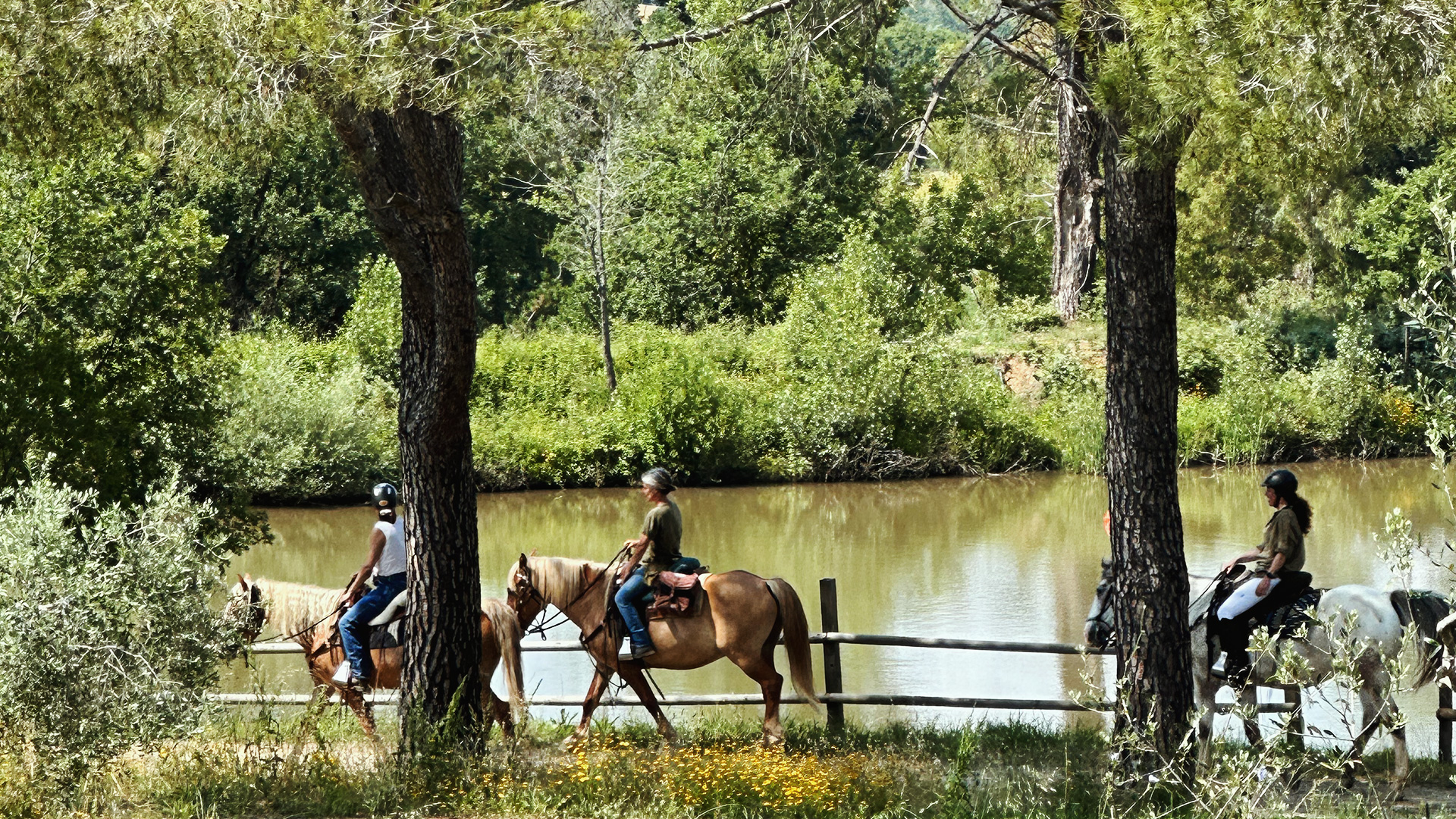 Ranch Landscape
